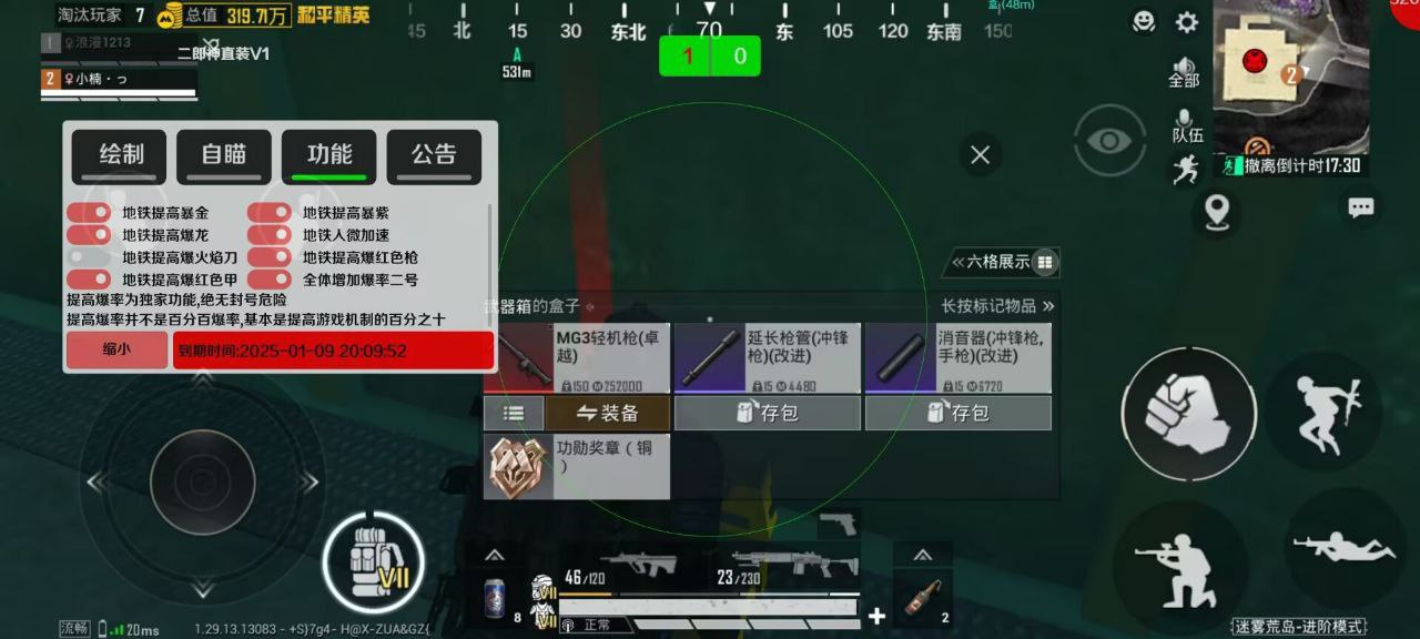 和平精英「小提琴」直装辅助